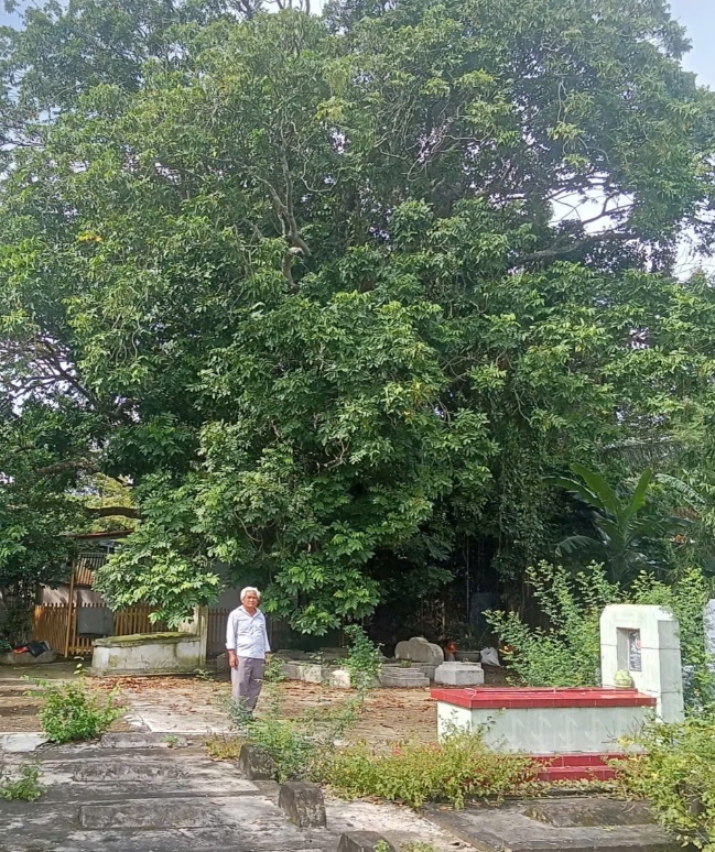 Ông Nguyễn Văn Bon, chụp ảnh cùng “cây Gội nước”  Ảnh: Phòng Văn hóa - Xã hội